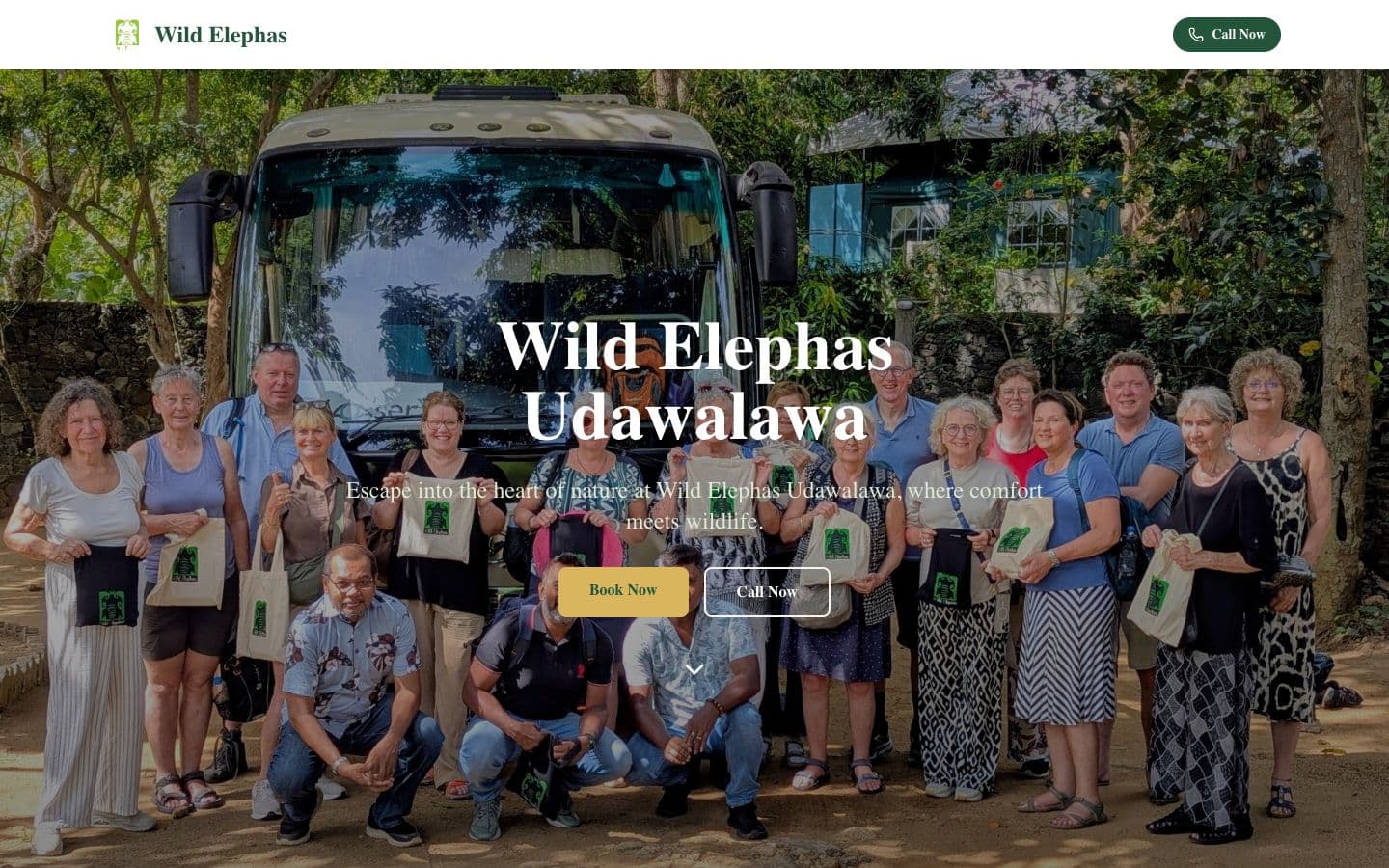 Wild Elephas Udawalawa